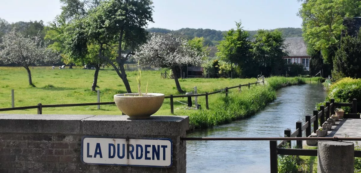 La Vallée de la Durdent, à 20 min du gîte Le Clos des Pâquerettes à Yvetot