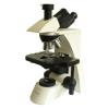 Microscope PARALUX  L3000 TRINO PLAN -1000X


